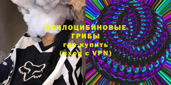 прущая мука Алзамай