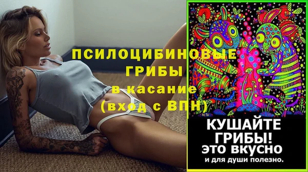 прущая мука Алзамай