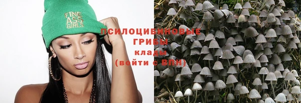 а пвп мука Абдулино
